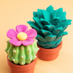 i-prickly-pals-gli-spinaroli-del-deserto