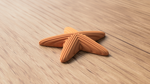 starfish