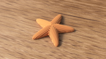 starfish