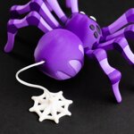 spidy
