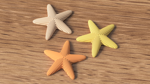 starfish