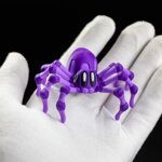 spidy
