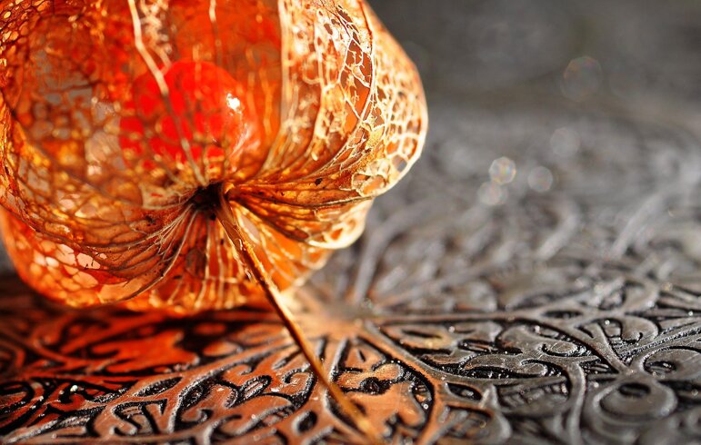 f2f481b6-f075-471a-8590-76850fe161fc f2f481b6-f075-471a-8590-76850fe161fc