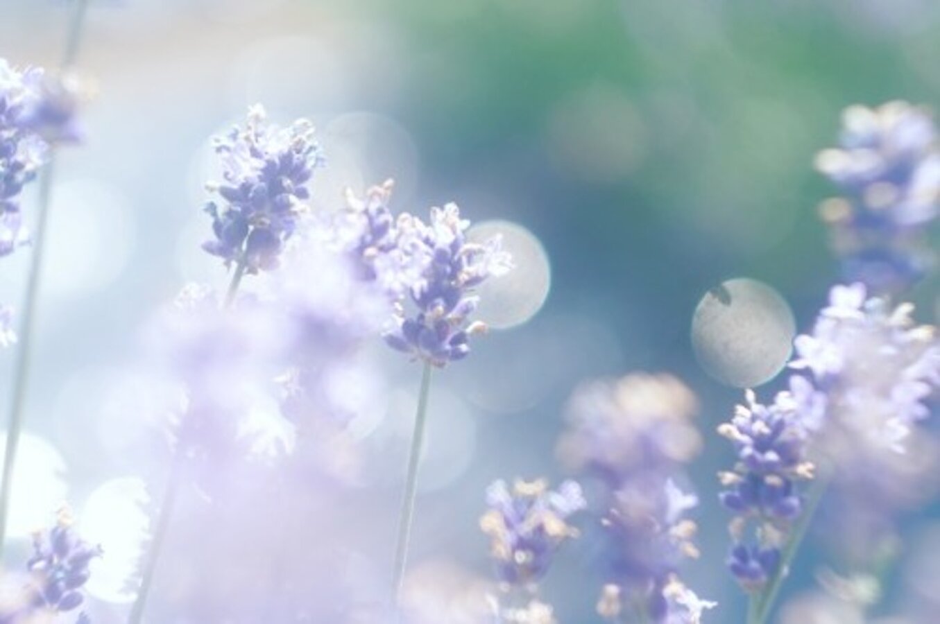 0965bbd9-8d30-4c2c-a554-0f2e829fa63c 0965bbd9-8d30-4c2c-a554-0f2e829fa63c