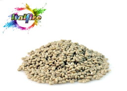 d0dea1a9-1f7a-4b2a-8391-bbc00753deb5