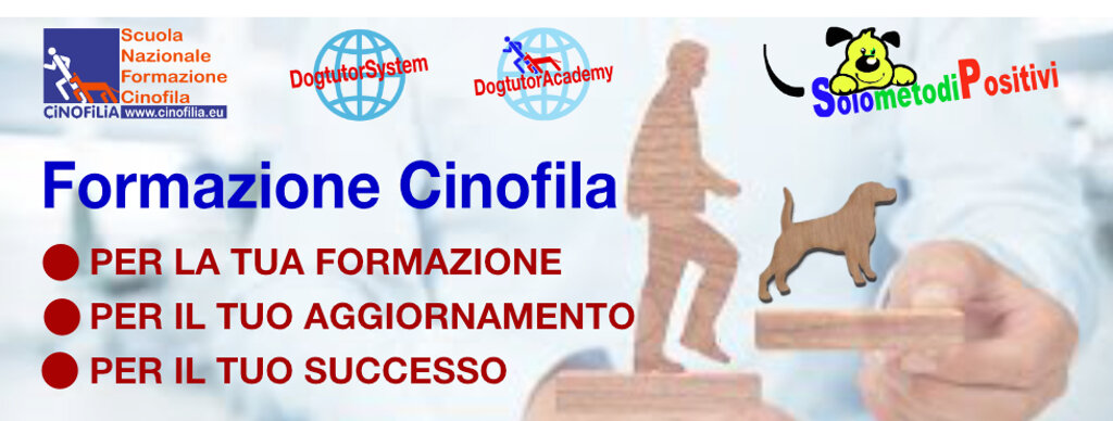 banner iniziale.jpeg