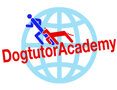 dogtutoracademycompleto.jpeg