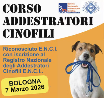 a310a307-b52a-4e89-80a0-6dc3e09e6119