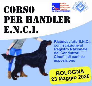 dc933c33-59bf-4e9a-b96e-ebab2b31c466