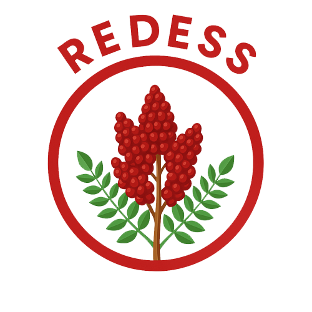 logo-redess logo-redess