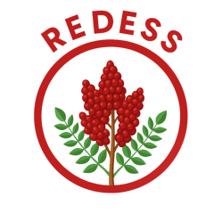 logo-redess