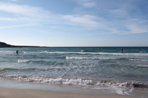 327c4cf0-48d3-45e0-995b-fa99880b77c5