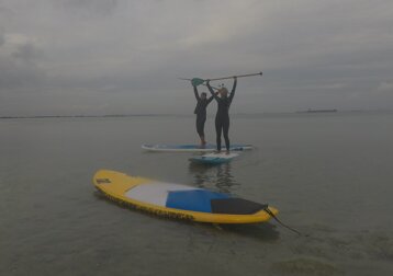 0d0f5573-5aac-484f-971b-f095d5ab248f