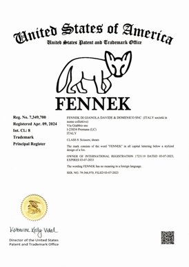 certificato usa.jpeg