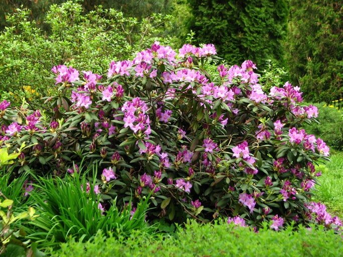 44cf8b9f-cbdc-4927-a69f-f4a8d2f02329