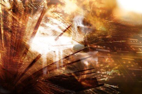 scilla_simona_voce_vento