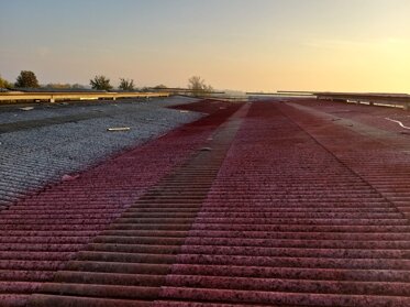 094ee125-782f-4695-9578-adb97e691521