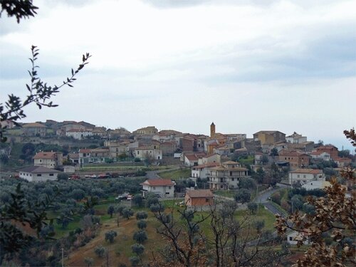 ACRI ATTO DOLOSO AGENZIA POMPE FUNEBRI ACRI ATTO DOLOSO AGENZIA POMPE FUNEBRI