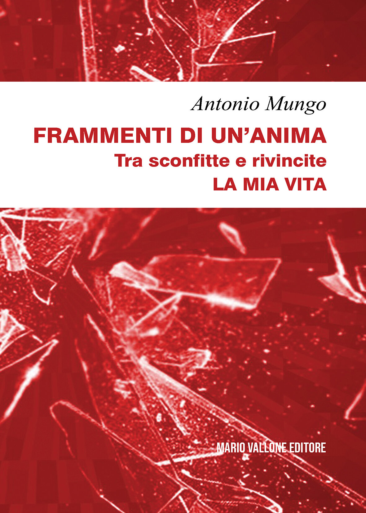 ANTONIO MUNGO, FRAMMENTI DI UN'ANIMA
