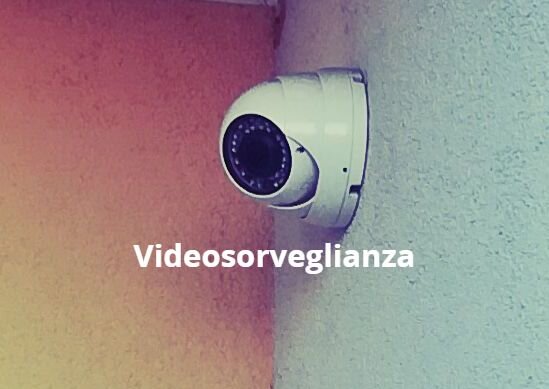 02a9104a-89b9-4dd6-b7da-55505dfdb742