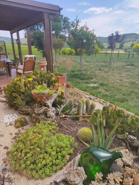 9ed96f7c-74b7-4fe1-af92-5095012cd9c1