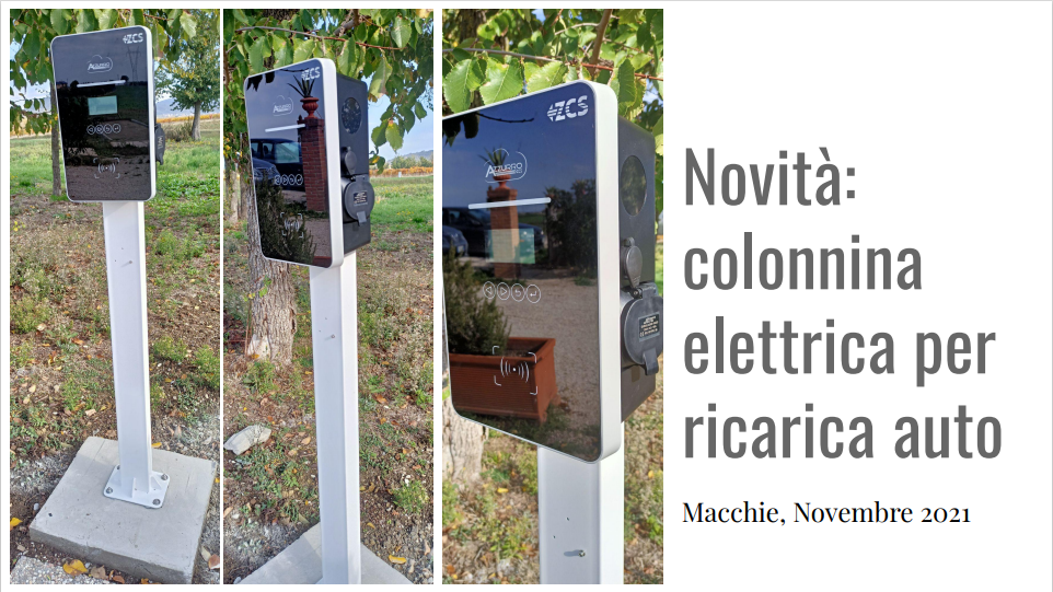 558f2efd-804e-4771-b9cb-a355d4eaffdc