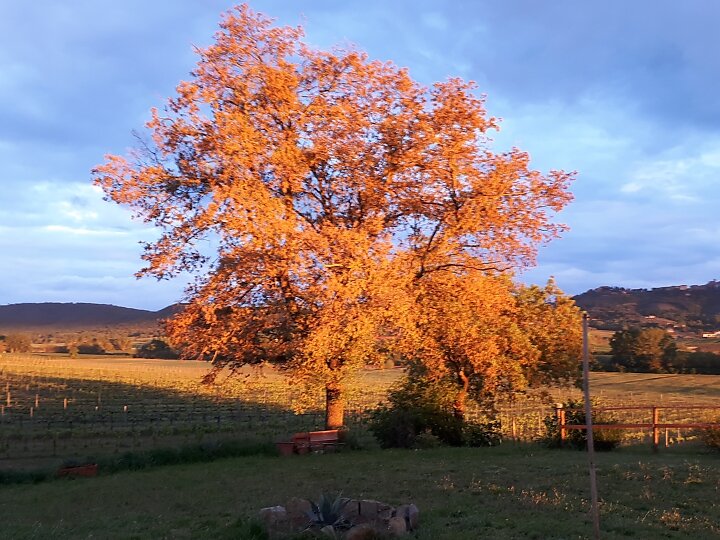 5141b27a-6aa7-4153-993f-cc4c083aa729