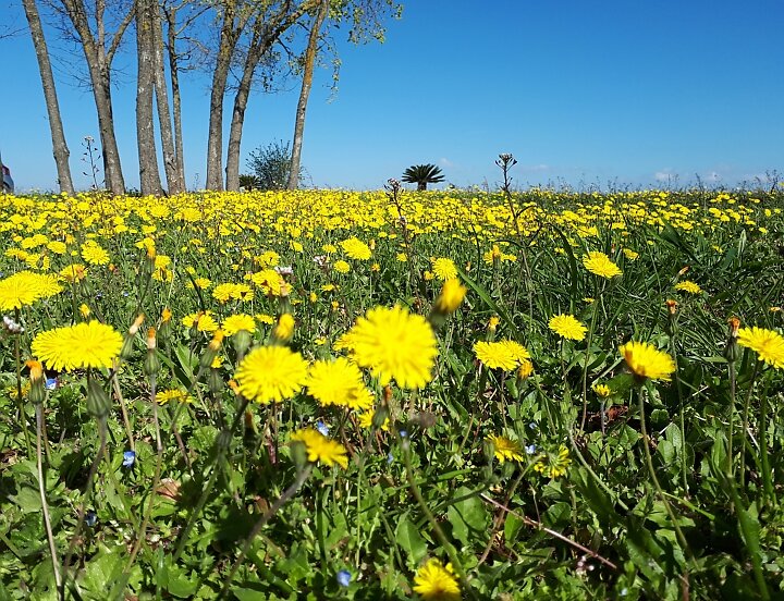 f0fcbb98-7d88-4f27-9582-71a62c09400b