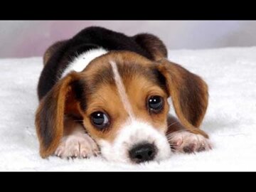 ad99e952-ae75-4828-a436-ad7cd110b74b