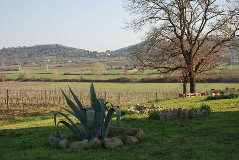 m_dsc_8141_1 m_dsc_8141_1