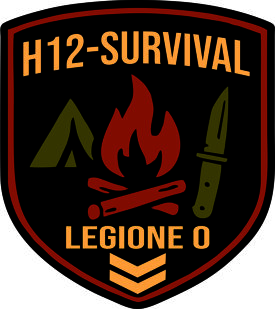 patch h12.jpeg