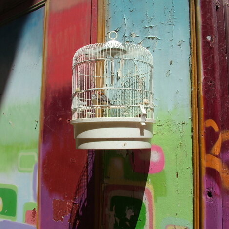 517438465_10237921373117818_2379755688598566381_n.jpeg 517438465_10237921373117818_2379755688598566381_n.jpeg