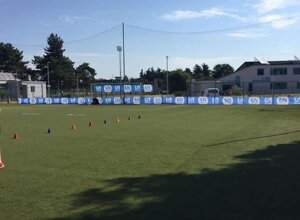 erba_campo_calcio.jpeg