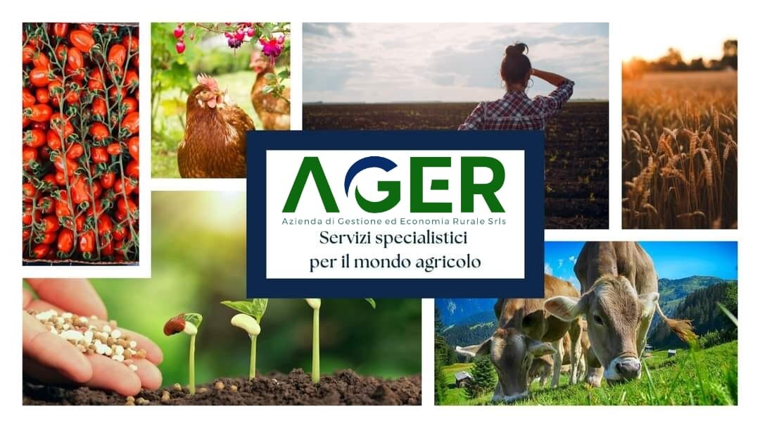 Aumento delle percentuali di sanzione della condizionalit&agrave; sociale