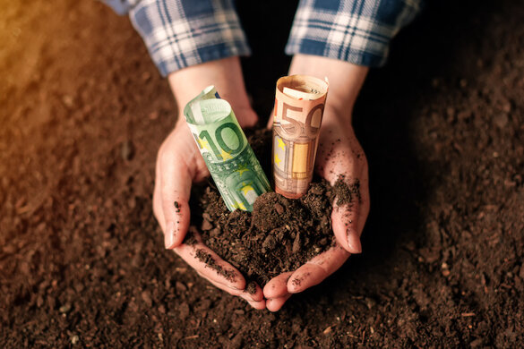 7d4f671e-eb1b-4791-9460-522845e8112b.jpeg 7d4f671e-eb1b-4791-9460-522845e8112b.jpeg