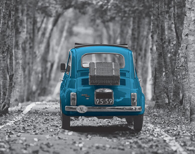 94c6ccf2-e586-4c36-a3f6-0bef71fcea30