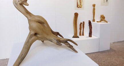 La camera dell'arte 2021 Gioacchino Cannatella