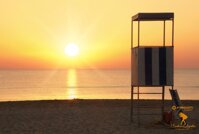 6bd31842-0ff0-44fe-be6d-aa71ed26bb2a