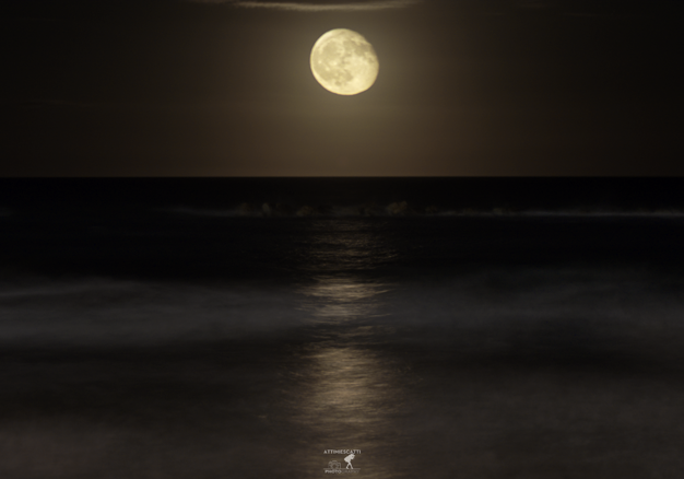 07a2a6ae-cc77-4764-8369-abf96c868e14