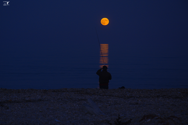 716c15c7-7173-40e7-ae0d-5108d7637f44