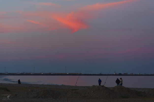 8509fc2e-5287-44c4-ac70-40d3950838c6 8509fc2e-5287-44c4-ac70-40d3950838c6