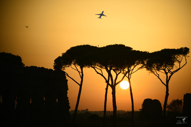 0e24b6c5-b346-466d-b267-788934216292.jpeg 0e24b6c5-b346-466d-b267-788934216292.jpeg