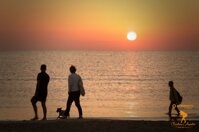 e709a832-950b-40cc-b27c-a0912d99d86f