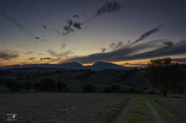 445a1e0c-6a21-4b6e-8d06-b48a7351dda5