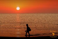 d4eba29c-0dfc-45c2-a8d1-9b670bd2866d