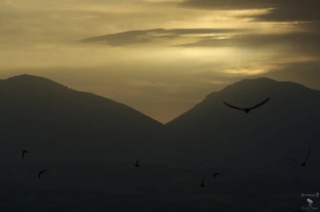 501f7e4f-5df9-4417-be9c-e6eb650d0daa.jpeg 501f7e4f-5df9-4417-be9c-e6eb650d0daa.jpeg