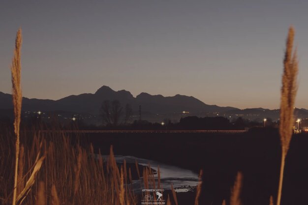 b869f2e5-485f-49fd-a371-cf5ed6fe4506