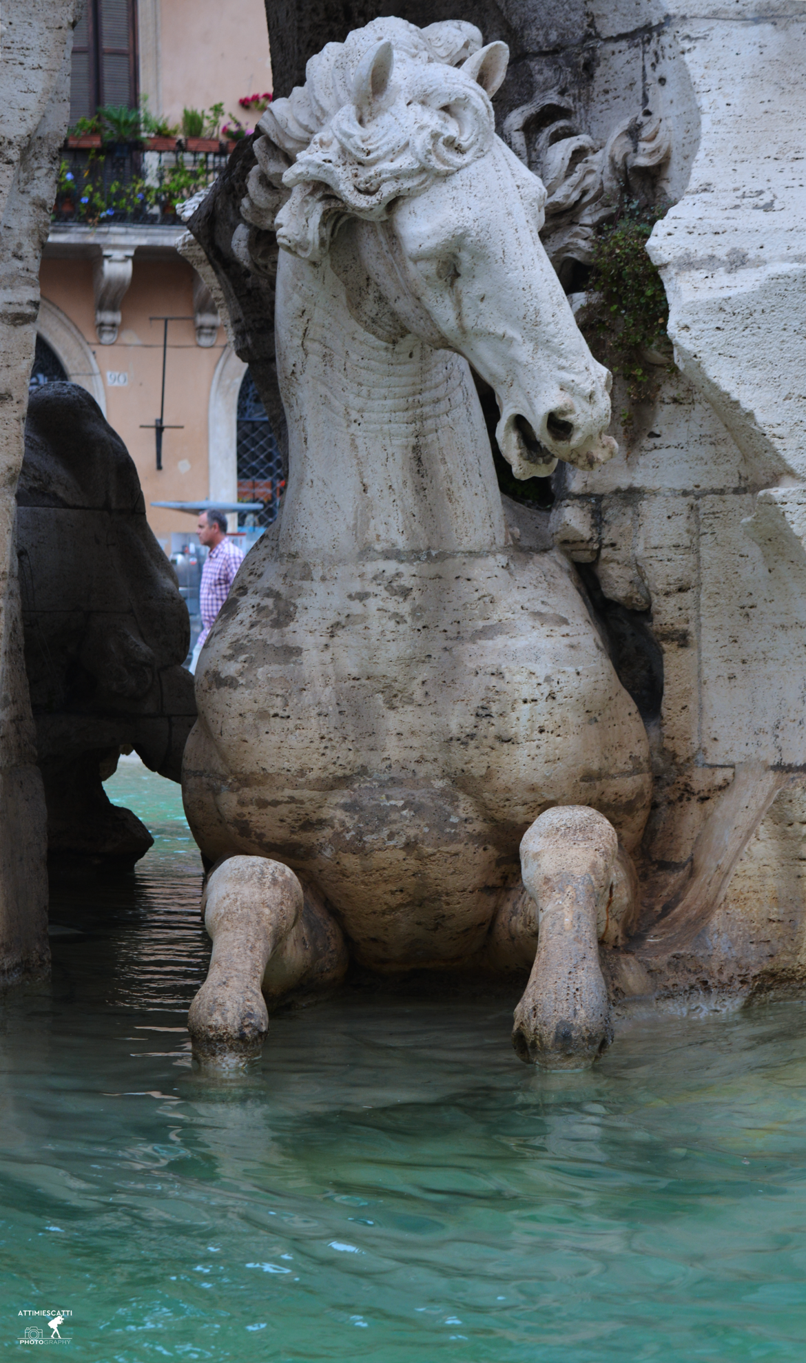 Il cavallo