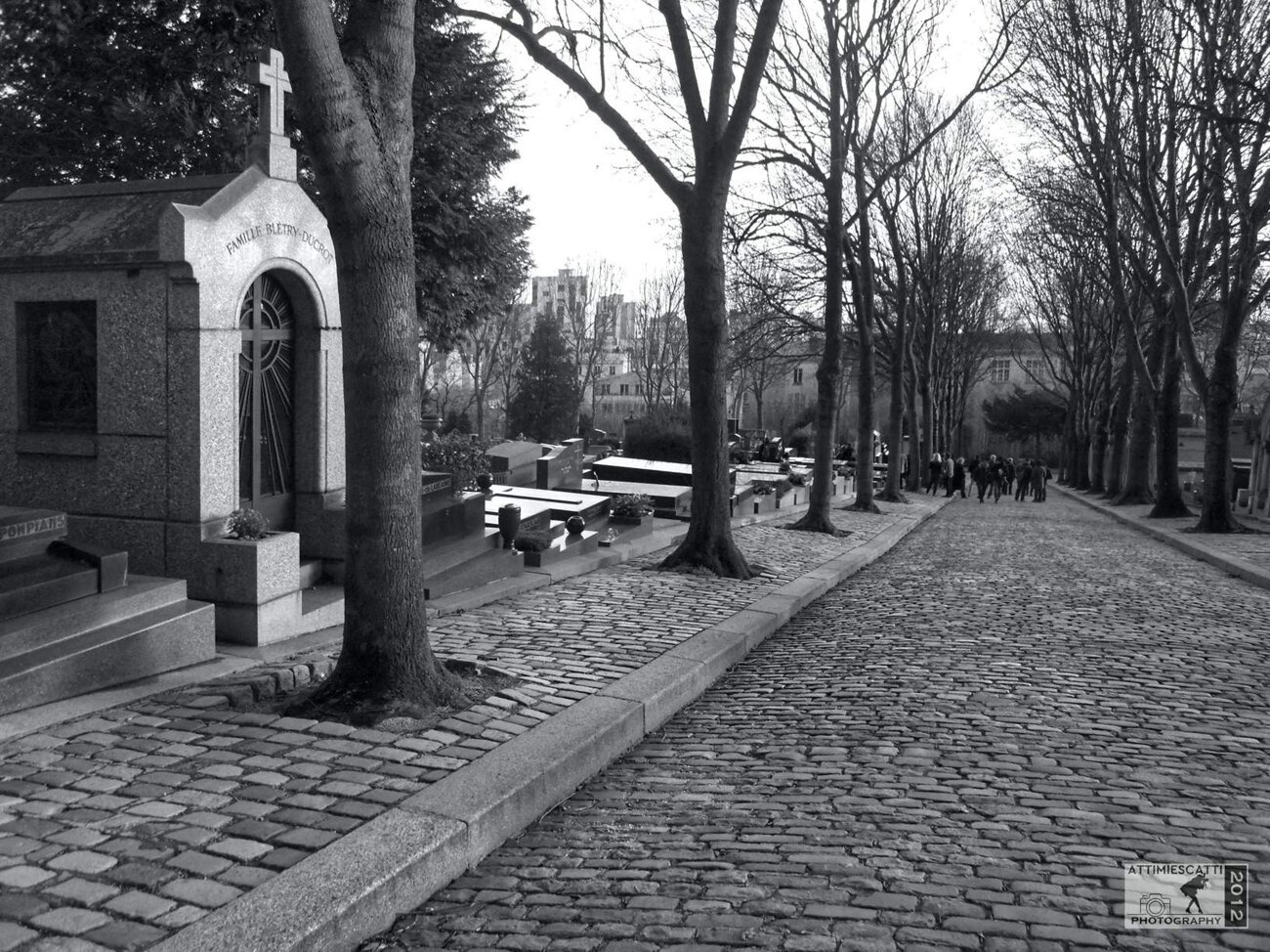 64609d05-5676-42e3-a4b5-ef3f318cc2ac.jpeg