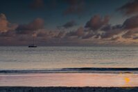 d068fa57-8cbe-47e0-97c5-23bb3b86d145